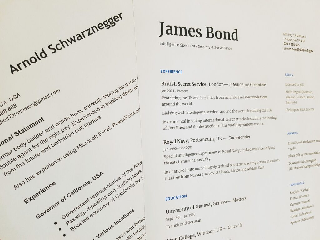 celebrity resume example